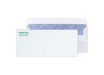 #10 Regular Security White Wove 24 lb. Envelope, Selfseal -Spot Color, Raised Print