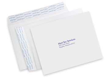 9" x 12" Mailing Envelope || Custom Envelopes || Spot Color