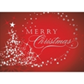 Starry Tree Merry Christmas - Printed Envelope