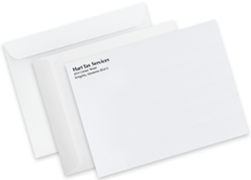 10" x 13" Mailing Envelope || Custom Envelopes || Spot Color