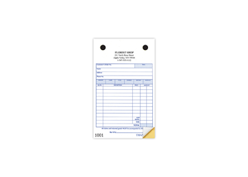 4" X 6-1/2" Carbonless Continuous Register Form, 2 Part