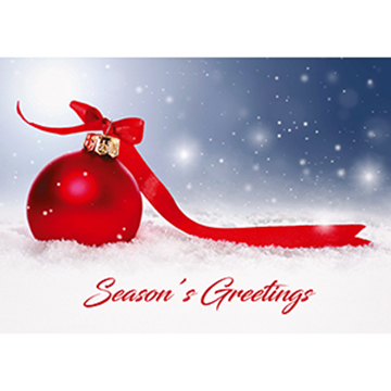 Season's Greetings - Printed Envelope