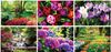 Garden Splendor Wall Calendar || Custom Calendars and Planners || Spiral, Screen Printed